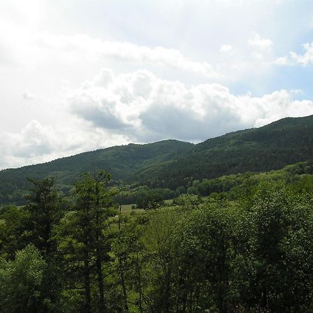 A L'Arbre Vert Wintzfelden Exterior photo